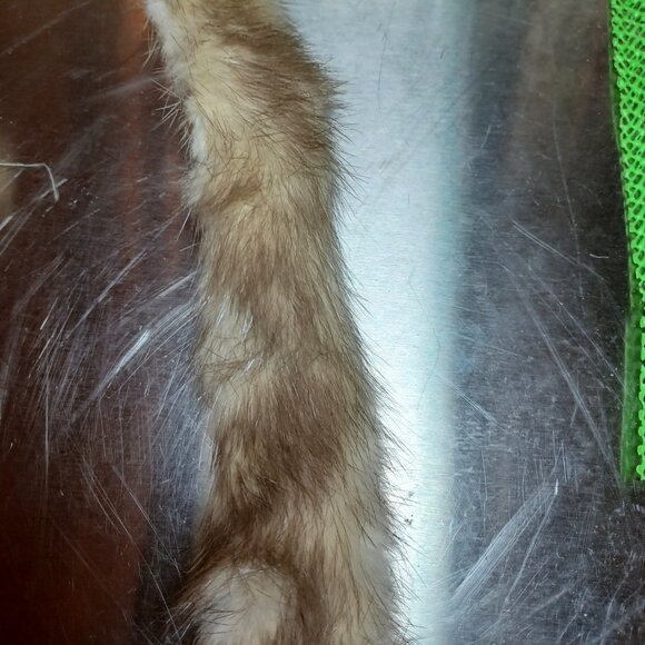 Box of FUR - pieces & scraps - Picture 9 of 13